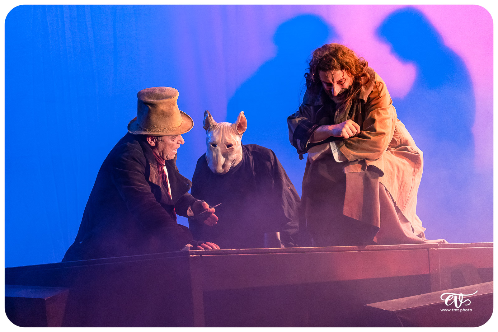 OLIVER TWIST (CIE LA MESNIE H.)